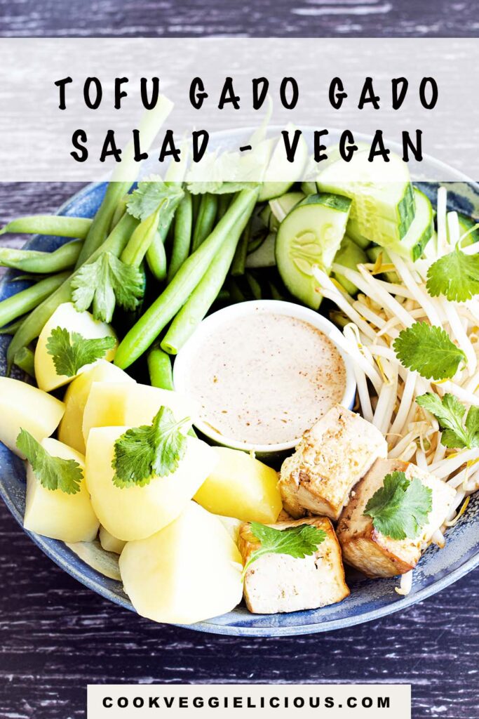 vegan gado gado - salad with beans, potatoes, cucumber, tofu and peanut sauce