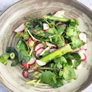 spring salad with asparagus, watercress and radish