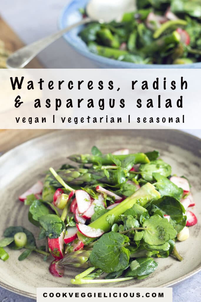 watercress, radish and asparagus salad on plate