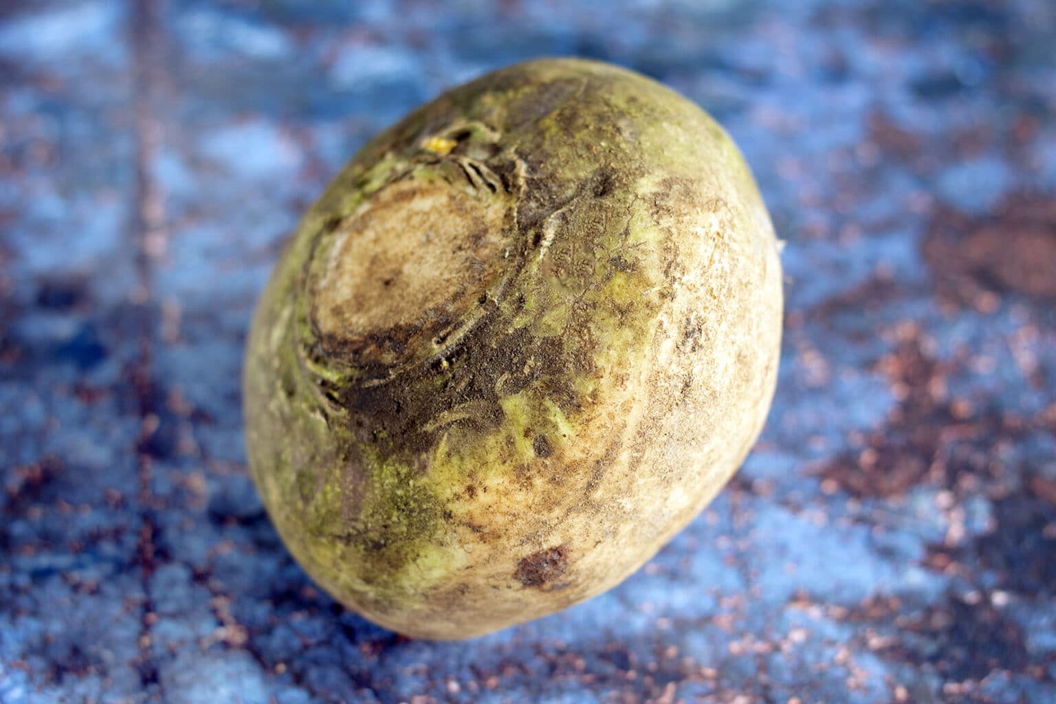 How to cook swede Cook Veggielicious